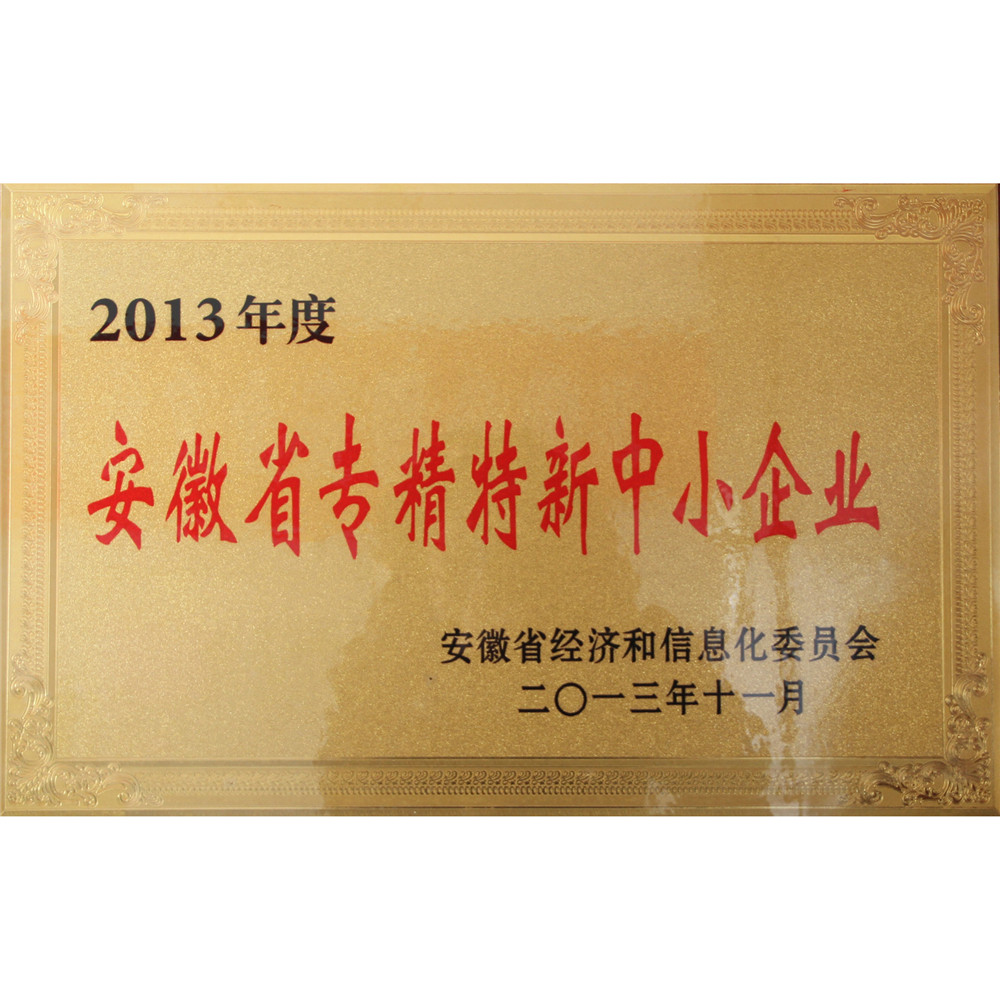 2013.11-2013年度安徽省专精特新中小企业